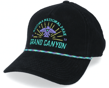 Casquettes - American Needle Grand Canyon Palmer (noir)