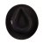 Chapeaux - Crushable C-Crown Fedora (noir)
