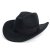 Chapeaux - Gårda Pocatello Crushable Wool felt Western hat (noir)
