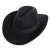 Chapeaux - Gårda Pocatello Crushable Wool felt Western hat (noir)