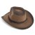 Chapeau de paille - Gårda Taranto Western Hat (marron)