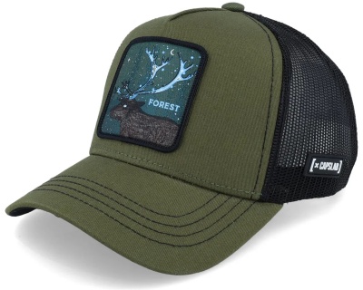 Casquette - Capslab Fantastic Beasts Forest Trucker (vert foncé/noir)