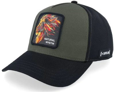 Casquette - Capslab Fantastic Beasts Natural Mystik (vert/noir)