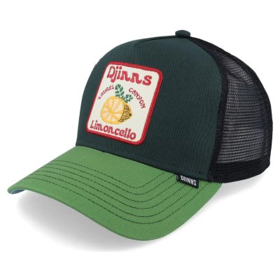Casquette - Djinns HFT Food Limoncello Trucker (vert/gris)