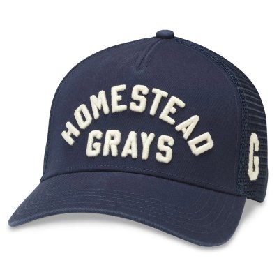 Casquette - American Needle Homestead Grays NL Valin Cap (bleu marine)