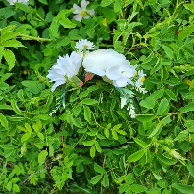 Couronne de fleurs - Gårda Eden Flowerband (blanc)