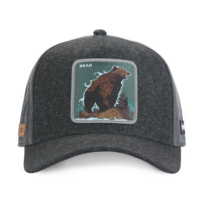 Casquette - Capslab Fantastic Beasts Bear (gris)