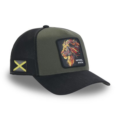 Casquette - Capslab Fantastic Beasts Natural Mystik (vert/noir)