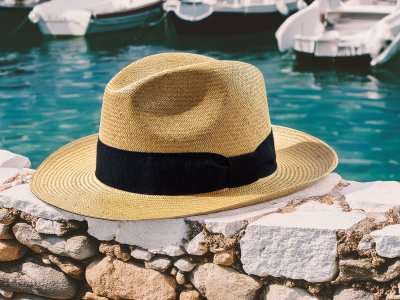 Chapeaux - Gårda Pimiento Panama (nature)