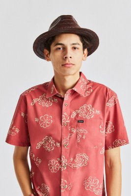 Chapeaux - Brixton Messer Straw (marron)